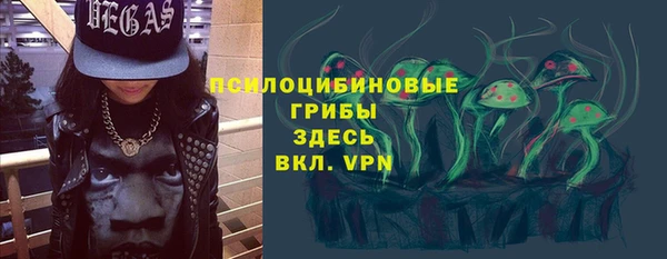 соль ск Арсеньев