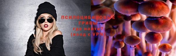 бошки Верхний Тагил